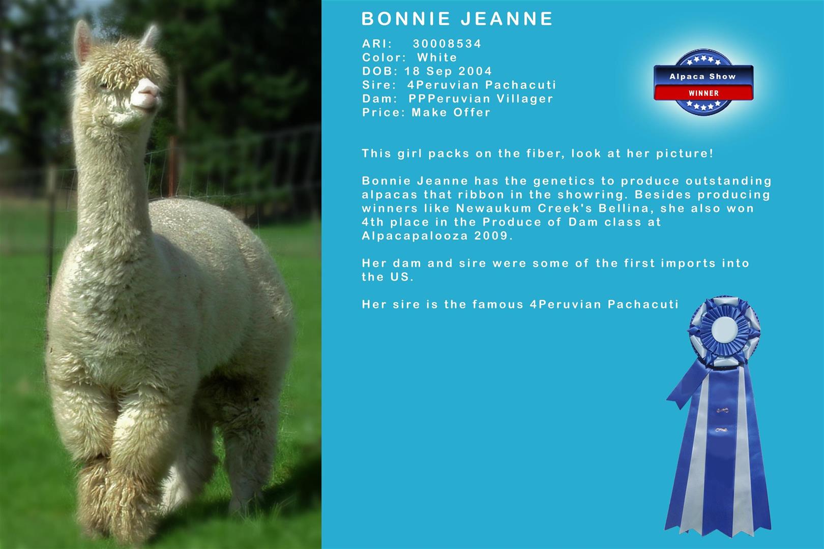 EVA Bonnie Jean female alpaca for sale